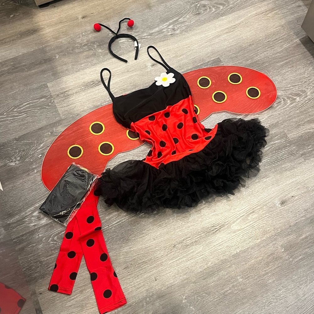 2000s Ladybug Costume Set, includes dress, wings, arm covers, antennae, stocking